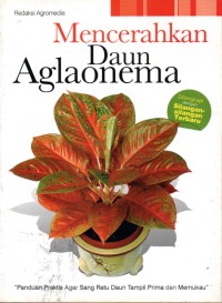 Image of Mencerahkan Daun Aglaonema